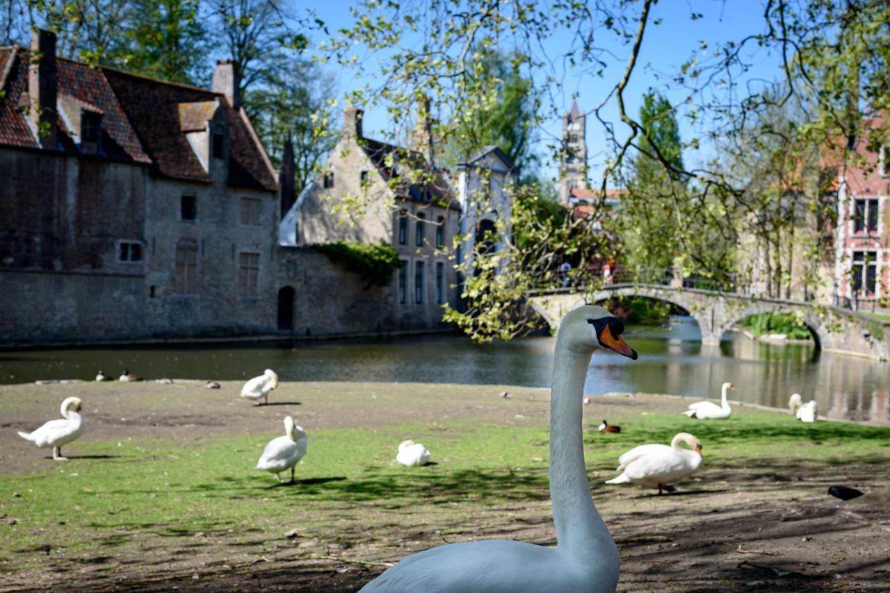 Haven 7 Bed & Breakfast Bruges Exterior foto